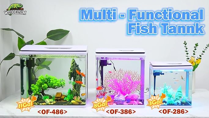 邦楽 Think Tank EAT ONE 12inch Amazon.com: Restaurantware-12.2 x 9.8 x 2.4 Inch Compartment